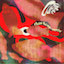 CD Cover