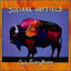 CD Cover
